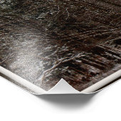 Cabine in Bossen Foto afdrukken (Hoek)