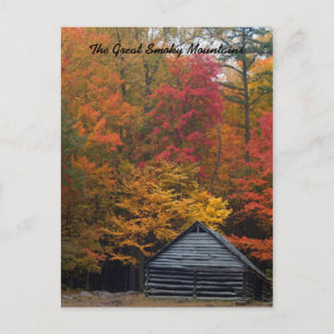 Cabine in de Bossen Briefkaart