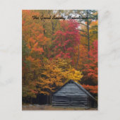 Cabine in de Bossen Briefkaart (Voorkant)