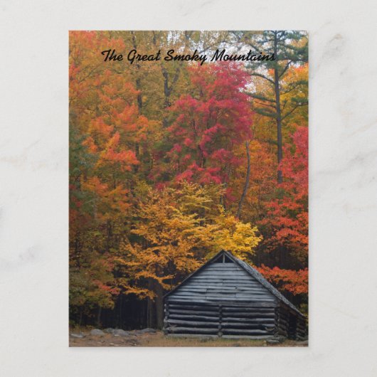 Cabine in de Bossen Briefkaart (Voorkant)