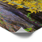 Cabine in de Bossen, herfst Poster (Hoek)