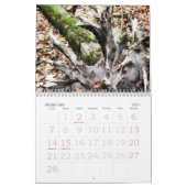 Cabine in de bossen kalender (Feb 2027)