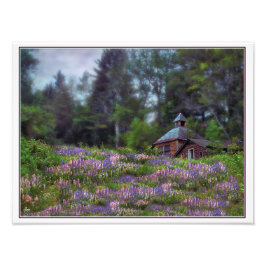 Cabine in de Lupine Digitaal geparafeerd Open Ed P Foto Afdruk