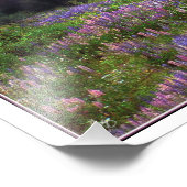 Cabine in de Lupine Digitaal geparafeerd Open Ed P Foto Afdruk (Hoek)