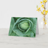 Cabine Kaart (Gele Bloem)