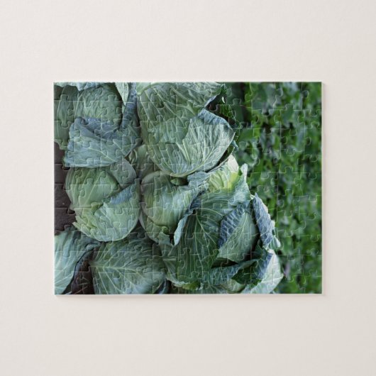 Cabine Legpuzzel (Horizontaal)