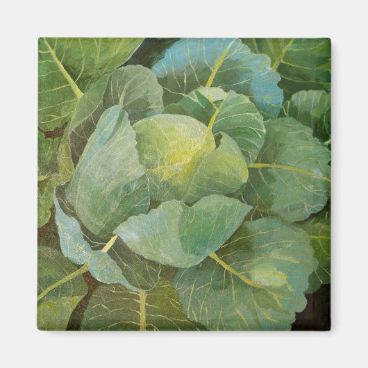 Cabine Magneet (Voorkant)