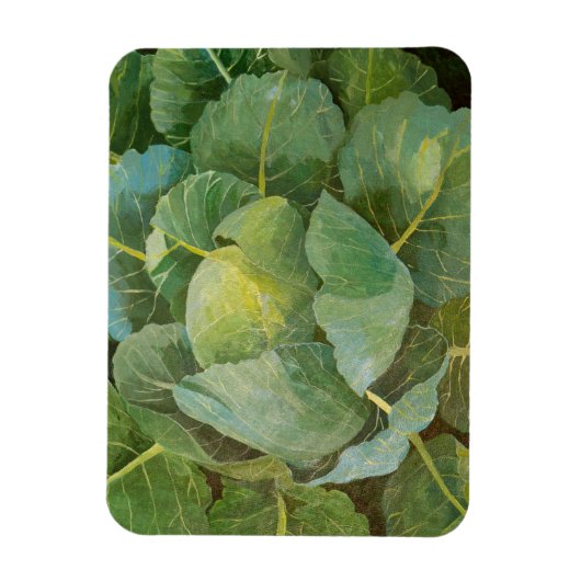 Cabine Magneet (Verticaal)