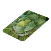 Cabine Magneet (Linkerzijde)