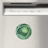 Cabine Magneet (Insitu (Vaatwasser))