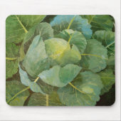 Cabine Muismat (Voorkant)