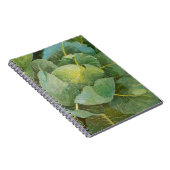 Cabine Notitieboek (Rechterzijde)