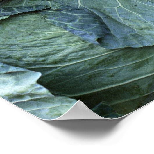 Cabine Poster (Hoek)