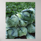 Cabine Poster (Voorkant)