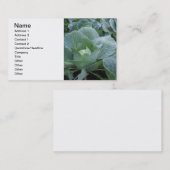 Cabine Visitekaartje (Voorkant / Achterkant)