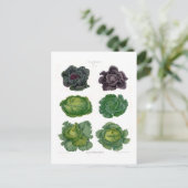 Cabines Briefkaart (Staand voorkant)