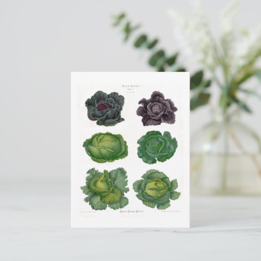 Cabines Briefkaart (Staand voorkant)