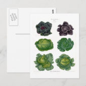 Cabines Briefkaart (Voorkant / Achterkant)