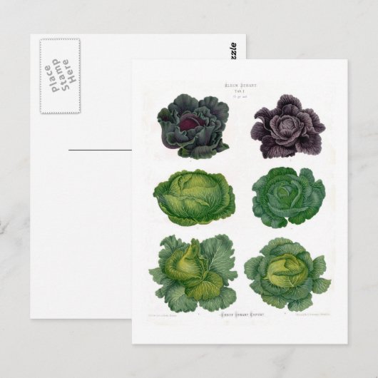 Cabines Briefkaart (Voorkant / Achterkant)