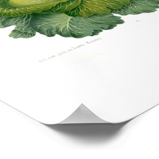 Cabines Poster (Hoek)