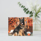 Cabo - German Shepherd Photo#1 Briefkaart (Staand voorkant)