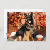 Cabo - German Shepherd Photo#1 Briefkaart (Voorkant / Achterkant)
