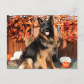 Cabo - German Shepherd Photo#1 Briefkaart (Voorkant)