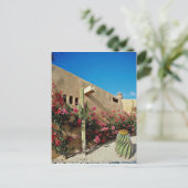 Cabo San Lucas, Baja, Mexicaanse bloemen Briefkaart (Staand voorkant)