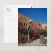 Cabo San Lucas, Baja, Mexico Briefkaart (Voorkant / Achterkant)