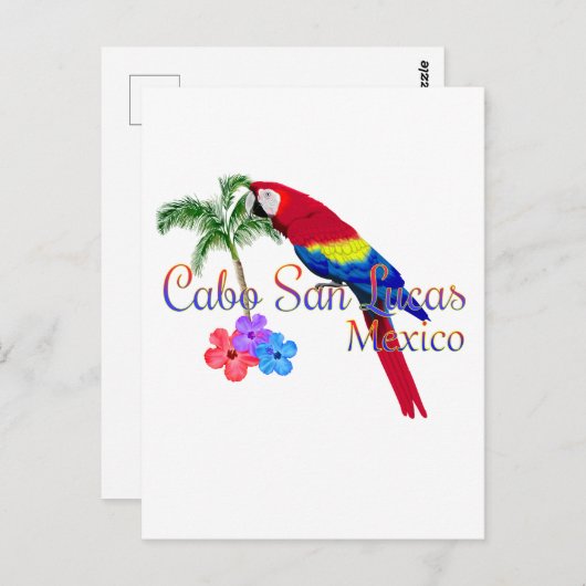 Cabo San Lucas tropisch strand Briefkaart (Voorkant / Achterkant)