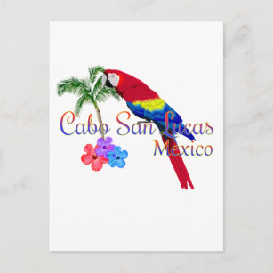 Cabo San Lucas tropisch strand Briefkaart