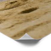 Cabo Seagull 2 Poster (Hoek)