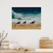 Cabo Seagull 2 Poster (Keuken)