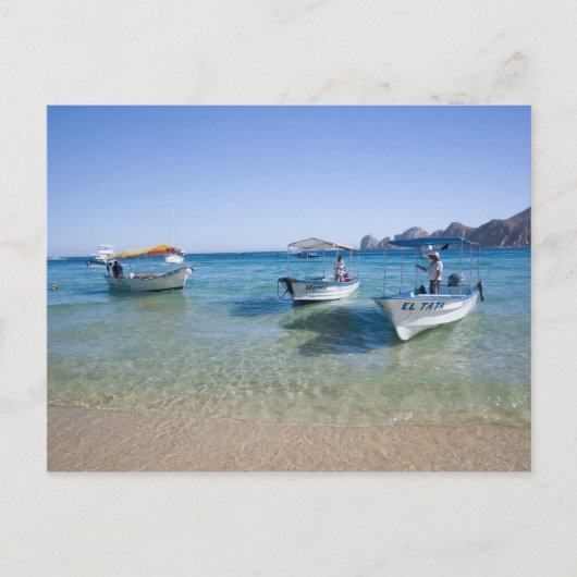 Cabo Water Taxis Briefkaart (Voorkant)