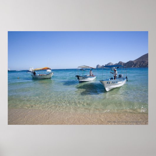 Cabo Water Taxis Poster (Voorkant)