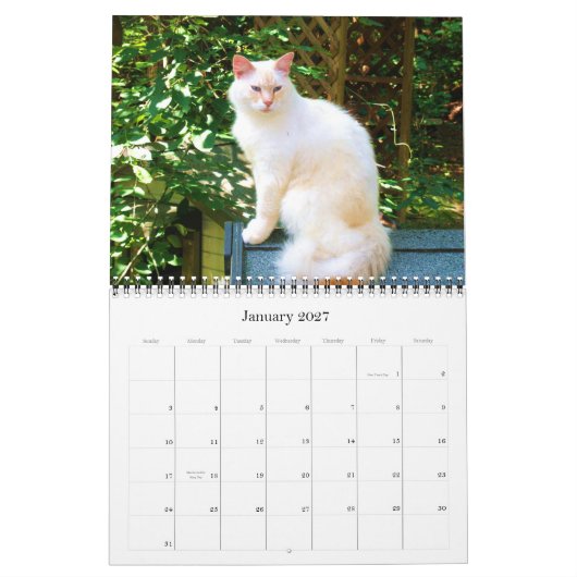 Caboodle Calendar 2011 Kalender (Jan 2027)