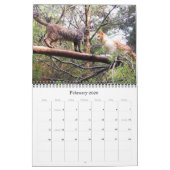 Caboodle Calendar 2011 Kalender (Feb 2026)