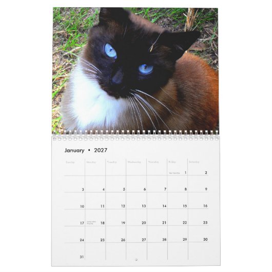 'Caboodle Ranch'-kalender Kalender (Jan 2027)