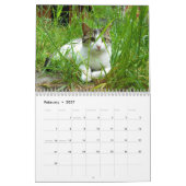 'Caboodle Ranch'-kalender Kalender (Feb 2027)