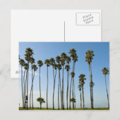 Cabrillo Avenue, Santa Barbara, Californië Briefkaart (Voorkant / Achterkant)