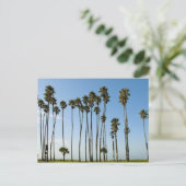 Cabrillo Avenue, Santa Barbara, Californië Briefkaart (Staand voorkant)