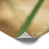 Cacade of Violet Hued Spiderwort Poster (Hoek)