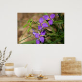 Cacade of Violet Hued Spiderwort Poster (Keuken)