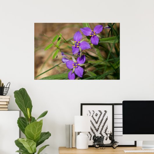 Cacade of Violet Hued Spiderwort Poster (Thuiskantoor)