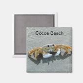 Cacao Beach Crab foto magneet Florida (Voorkant / Achterkant)