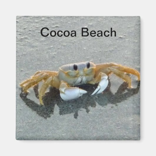 Cacao Beach Crab foto magneet Florida (Voorkant)