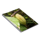 cacao pod notitieboek (Rechterzijde)