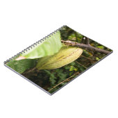 cacao pod notitieboek (Linkerzijde)