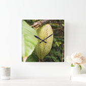 cacao pod vierkante klok (Huis)