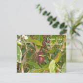 Cacaoboom Briefkaart (Staand voorkant)